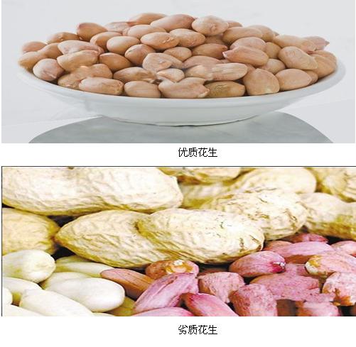 金质榨油机：再度论剑