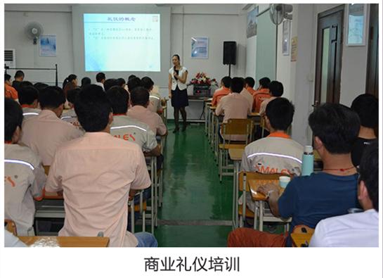 史麦斯壁挂炉顺利开展“企业礼仪”培训 提高员工综合素质