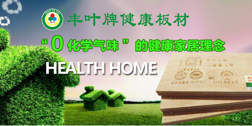 探索豐葉品牌的奧秘，向專業致敬