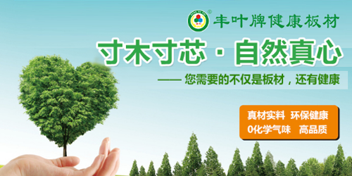 探索豐葉品牌的奧秘，向專業致敬