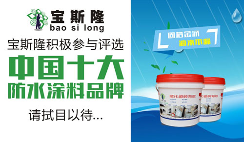 宝斯隆积极参与“中国十大防水涂料品牌”评选