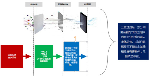 主动式净化与被动式净化的区别 空气净化器哪个牌子好