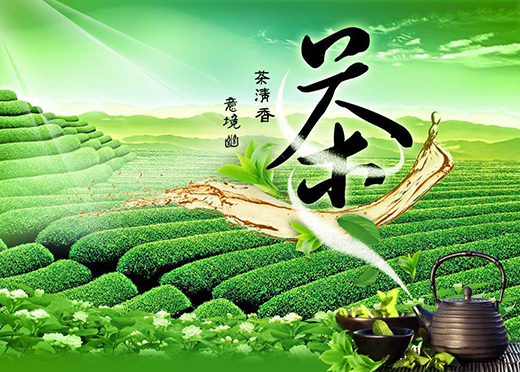 深耕市场，让年轻人爱上茶