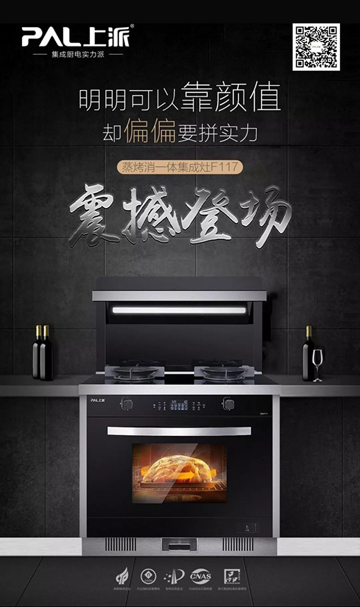上派集成灶：你温暖世界，我温暖你!