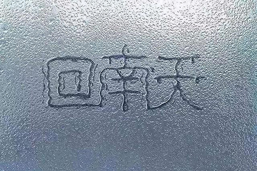 졢÷꼾ղֳӦ