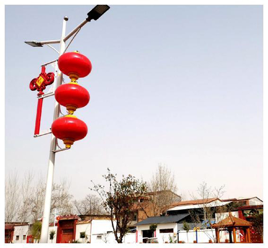 我为群众办实事：小小路灯照亮了乡村幸福路