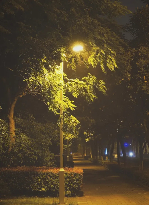 LED·Ϊĳɫ