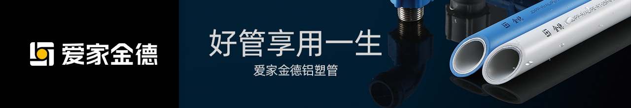爱家金德