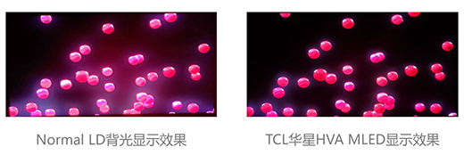 TCLʵMiniLED羺ʾͻ