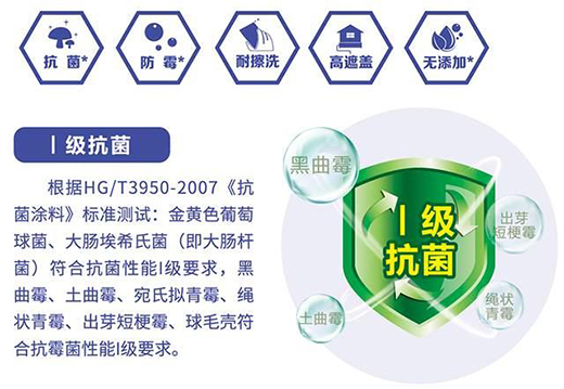 晨阳水漆24周年发布初馨系列内墙水漆：初见倾心 馨满意足