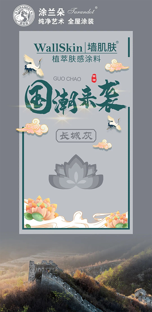 ͿͿƷ  WallSkinǽǻ