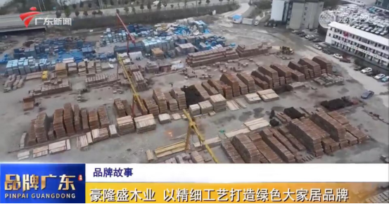 广东电视台重磅栏目《品牌广东》，讲述板芝福板材品牌故事