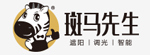 斑马先生